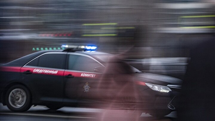 ФОТО: KONSTANTIN KOKOSHKIN/GLOBALLOOKPRESS