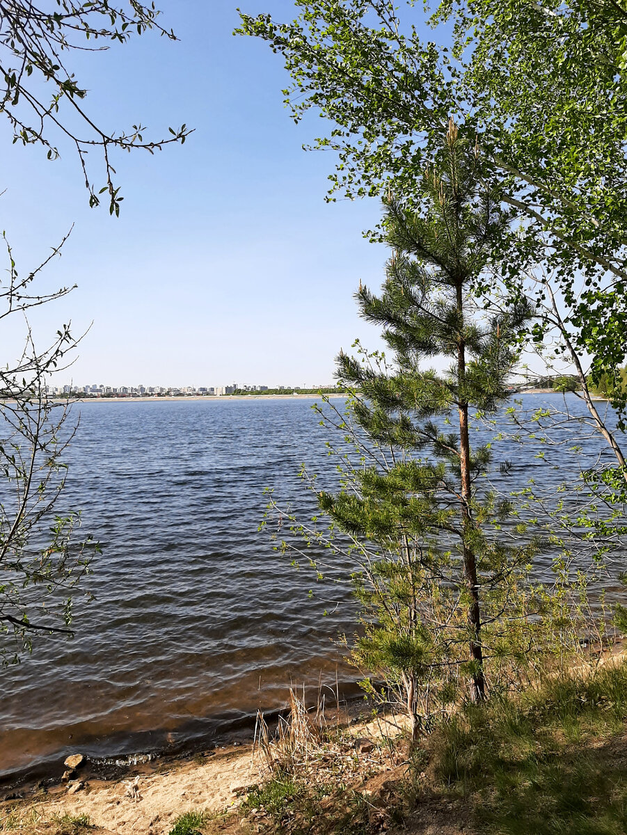 Прогулка вдоль Шершнёвского водохранилища | Творческая студия | Дзен