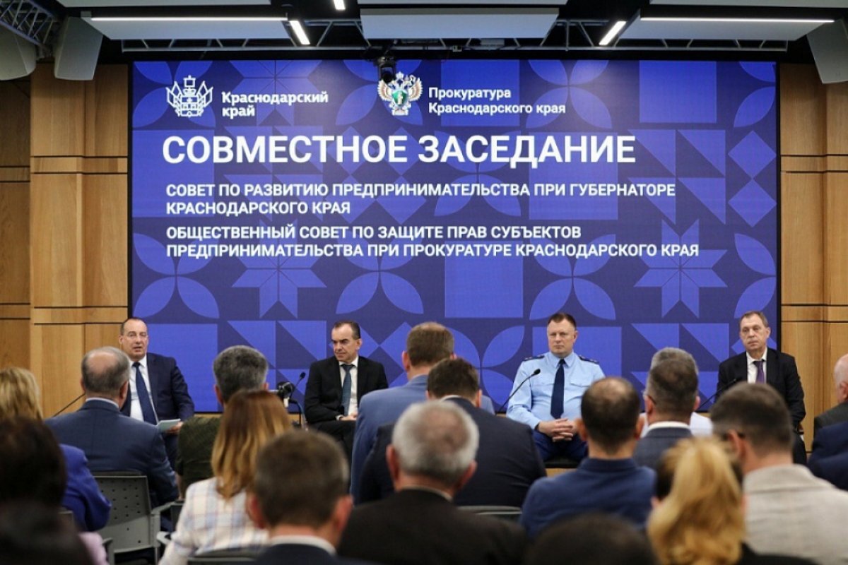    В малом и среднем бизнесе на Кубани заняты более 1 миллиона жителей