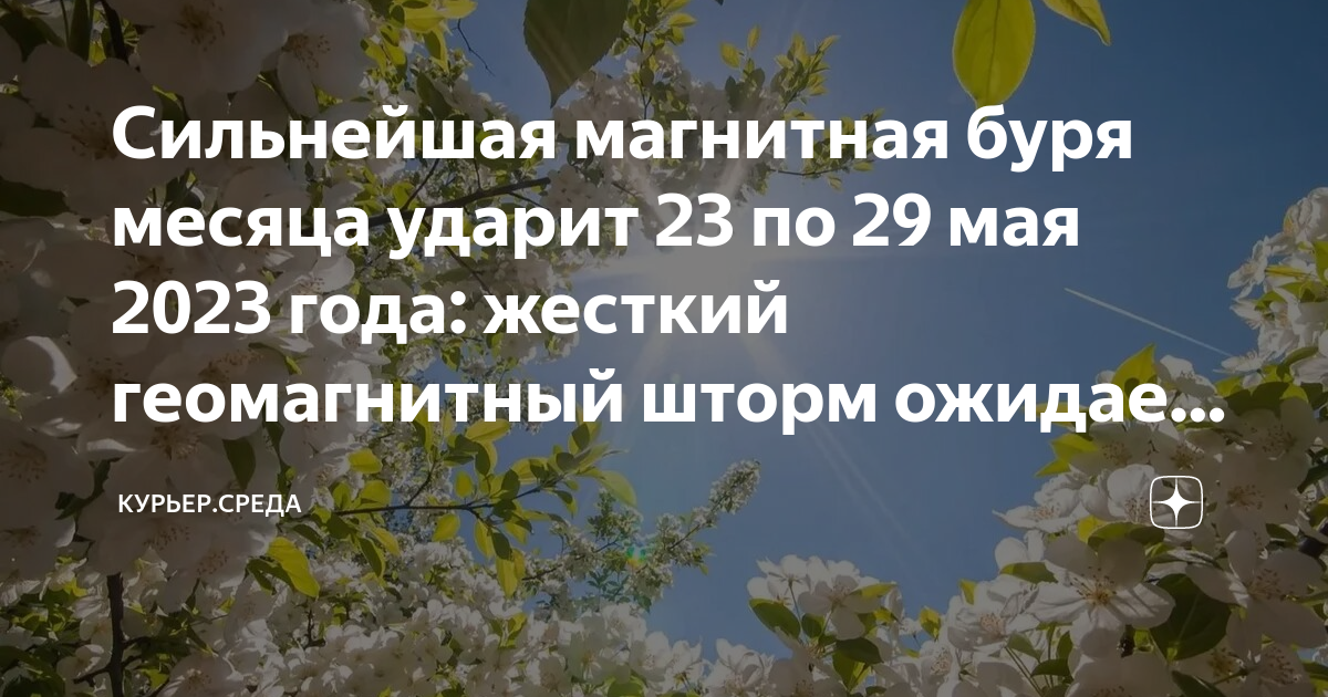 Источник dzen.ru