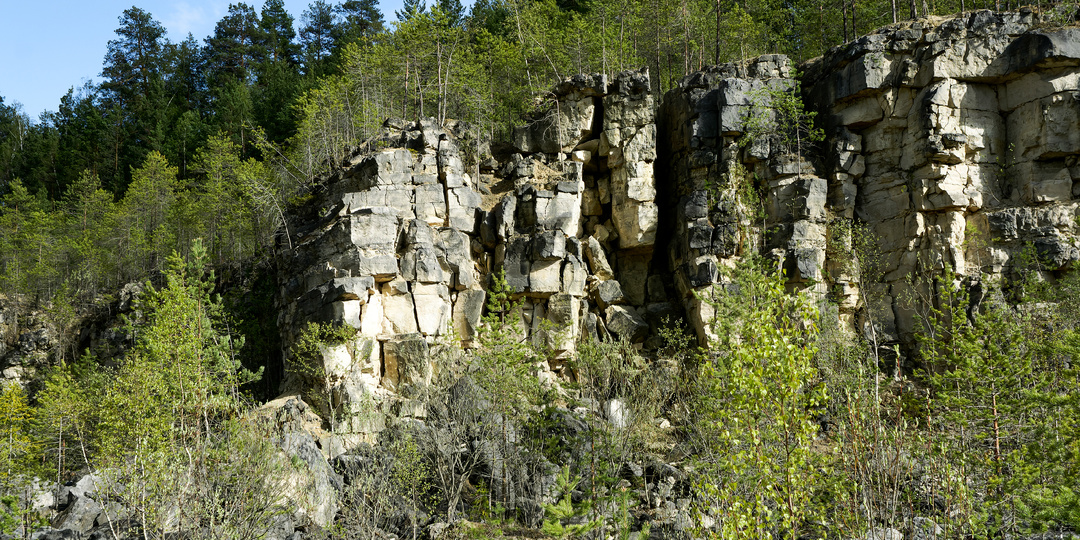 Логово дракона во Владимирских лесах