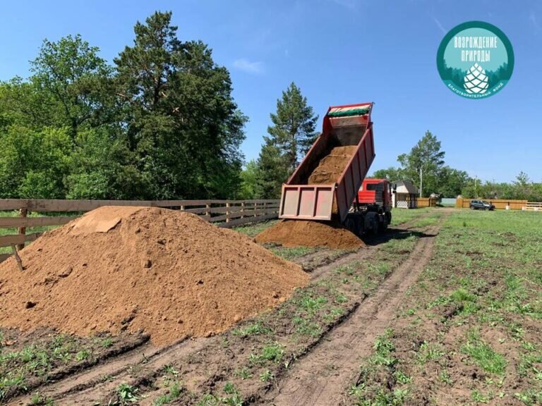    В Бузулукском бору приступили к строительству тепличного лесопитомника Марина Шарт