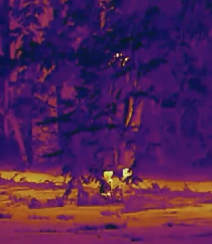 Как пончо SOM Tactical Защищает от тепловизора (расстояние 25 метров)