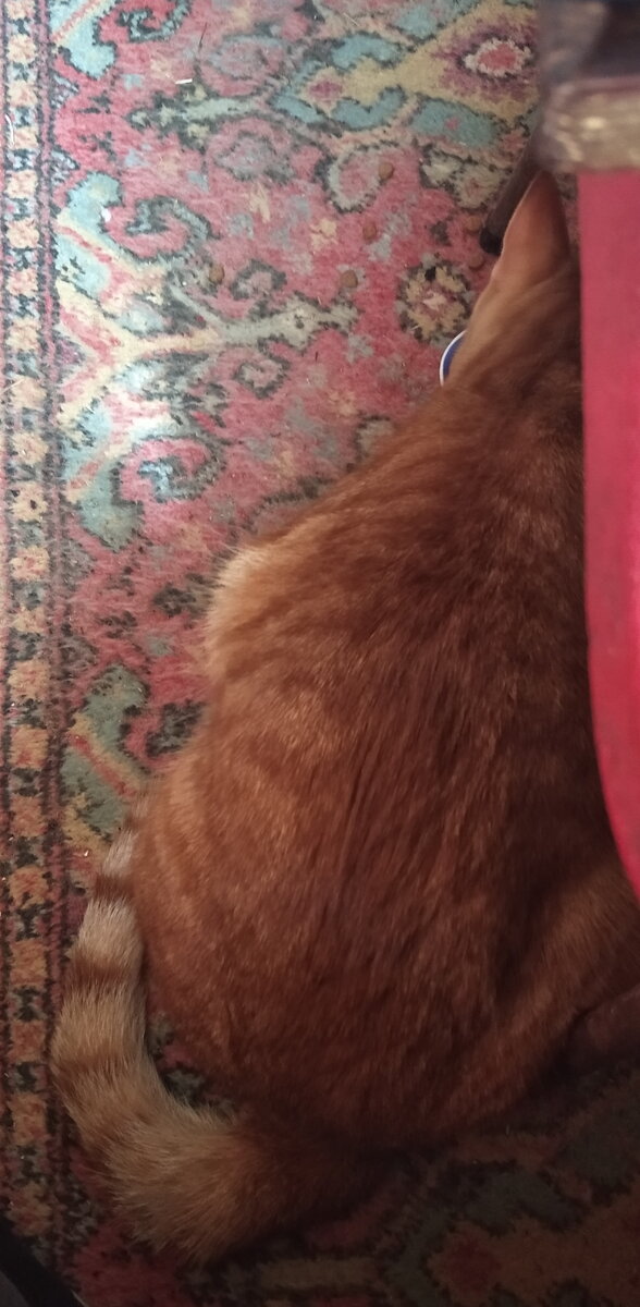 Личное  фото.