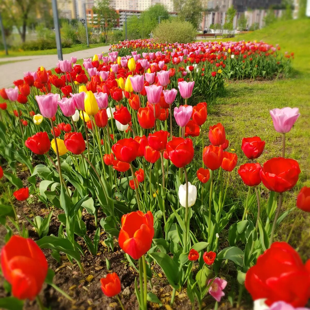 Фото для обложки 
