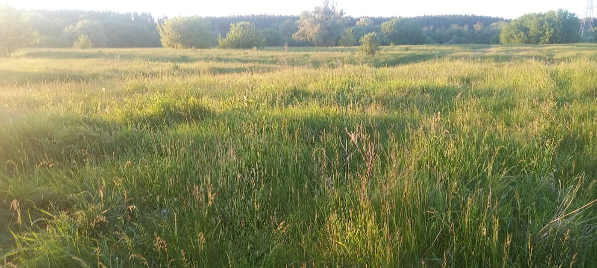 Красивое место, которое скоро станет дорогой. 😔