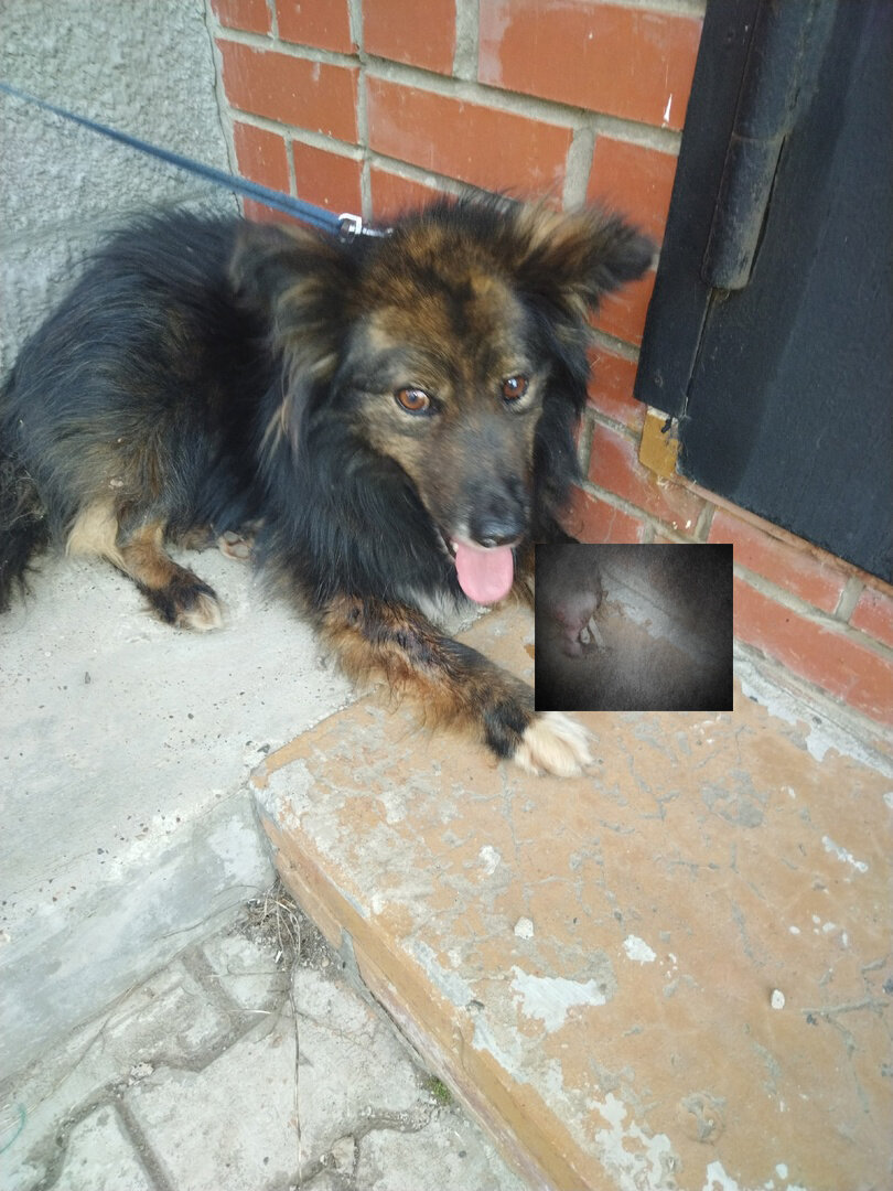 В черном квадрате немного заретушировали беду левой конечности