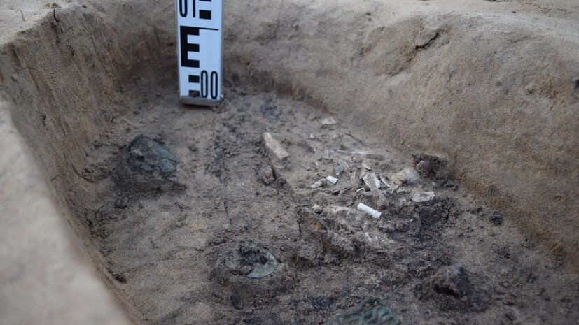    Сибирский федеральный университет