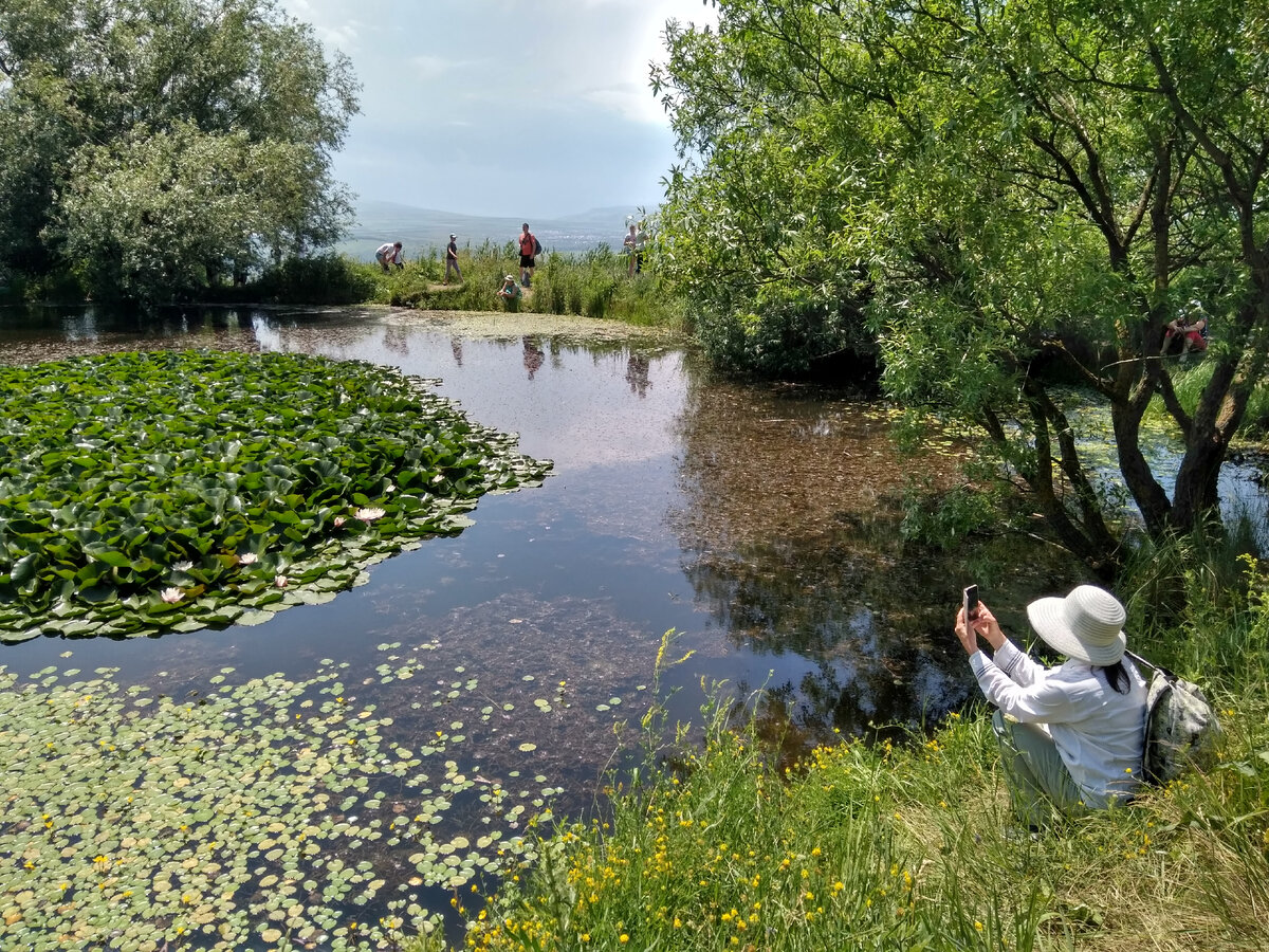 Монастырское озеро (июнь 2019 года)