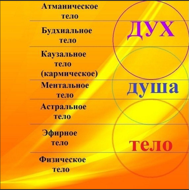 Душа и ум учителей. Дух, душа и тело. Триединство дух душа тело. Дух душа тело разум. Человек дух душа тело