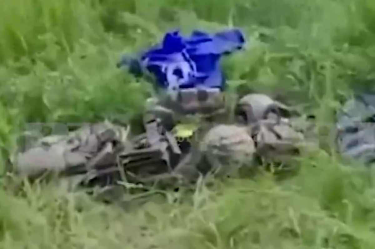    RT показал кадры с погибшими украинскими диверсантами в Шебекинском районе