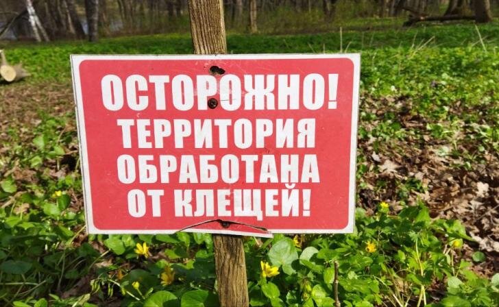    фото из архива Курских известий