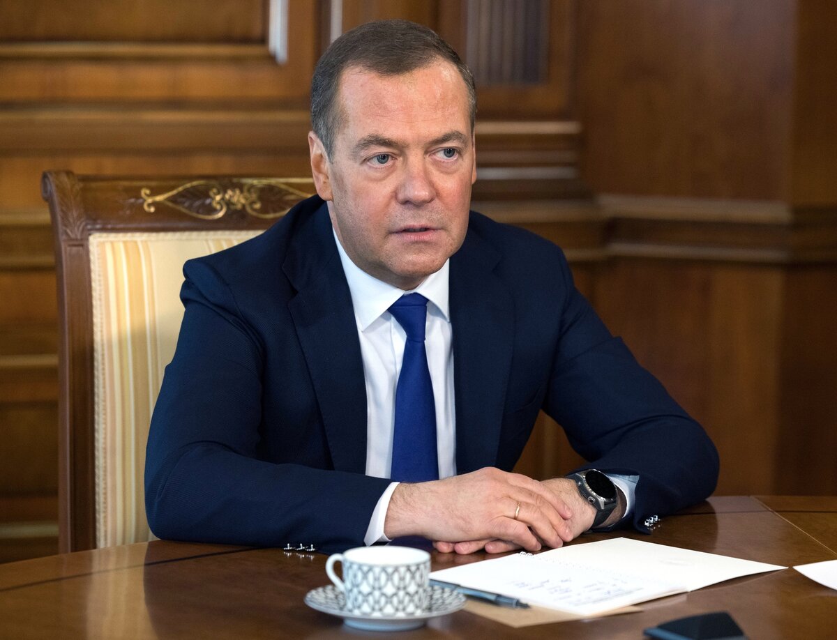     Заместитель председателя Совета безопасности РФ Дмитрий Медведев / РИА Новости / Екатерина Штукина