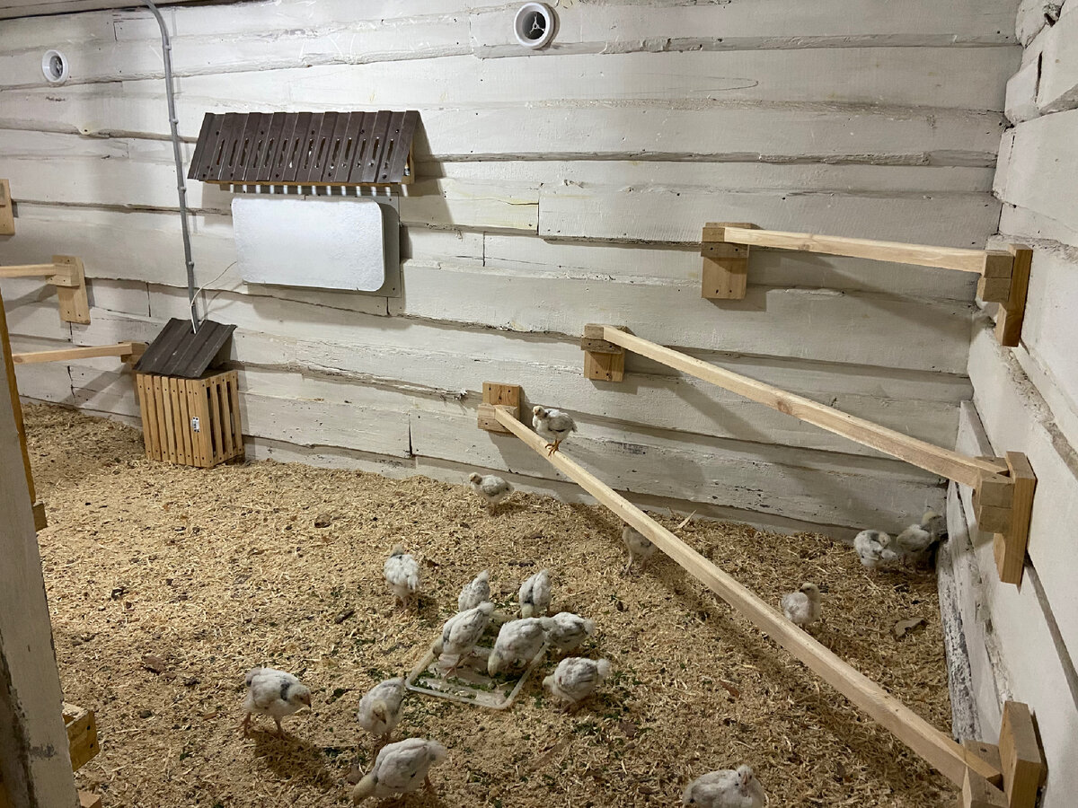 Нам тепло ☺️👍