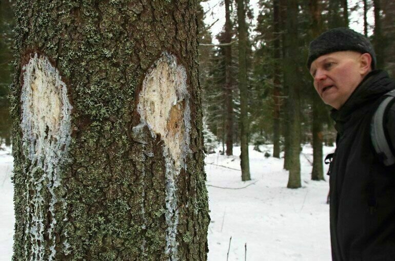    ТАСС