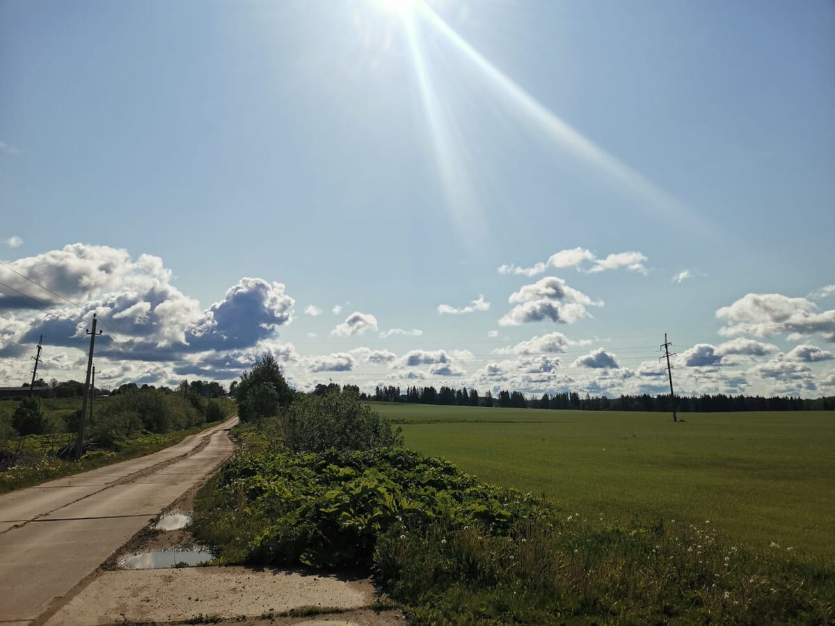 Прохладное подмосковное утро