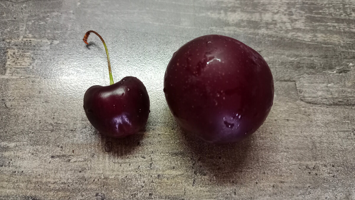 Черешня и слива одного семейства 