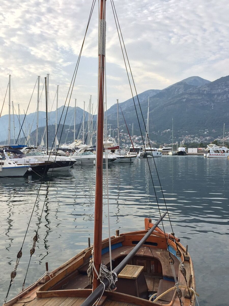 Фото сделано автором и принадлежит автору 