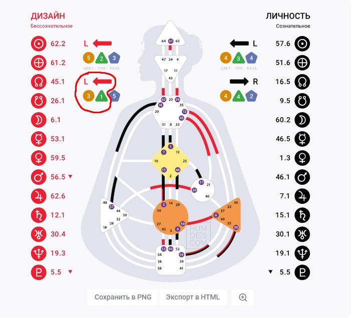 Дизайн человека. Личный эксперимент