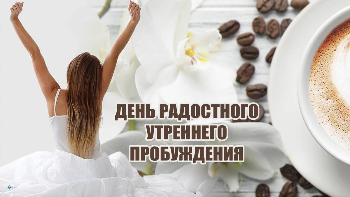 День радостного утреннего пробуждения. Иллюстрация: «Курьер.Среда»