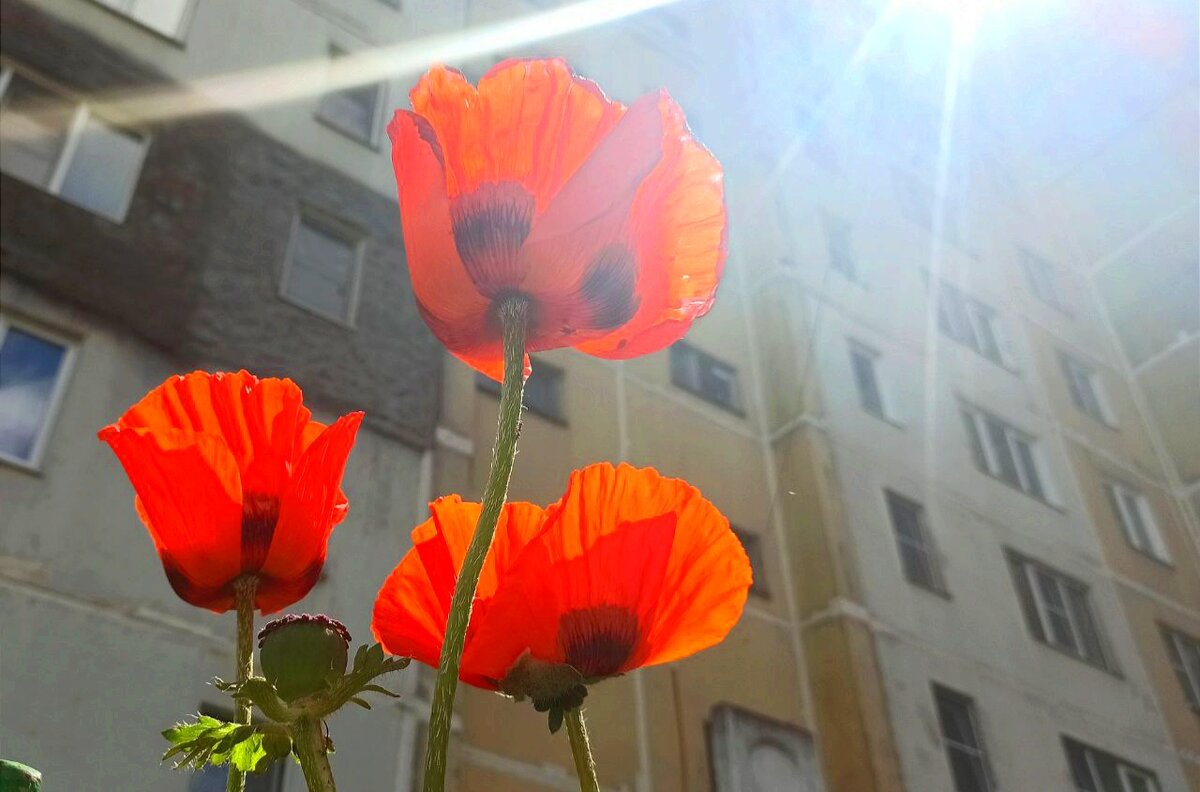 Фото автора.