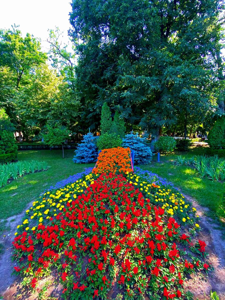 В парке у моря