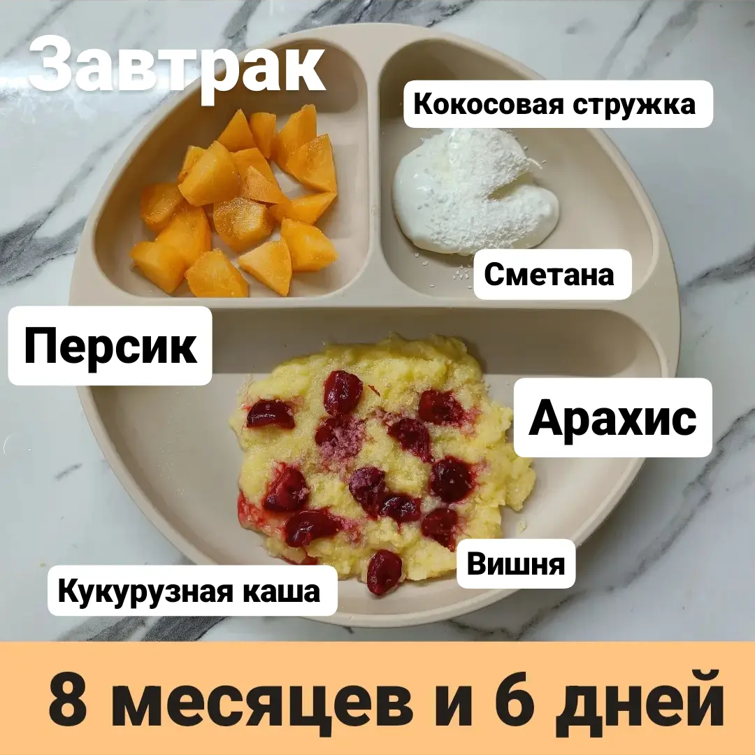 Пример тарелки в 8 месяцев 