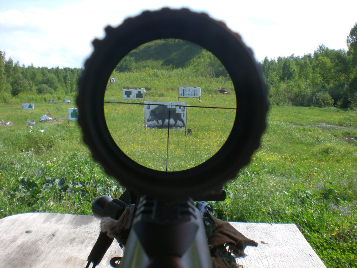 Прицелы армы. Hatsan 125 загонник. Прицел загонник 7.62. Прицел загонник для 12 калибра. Прицел загонник Вебер на карабин тигр.