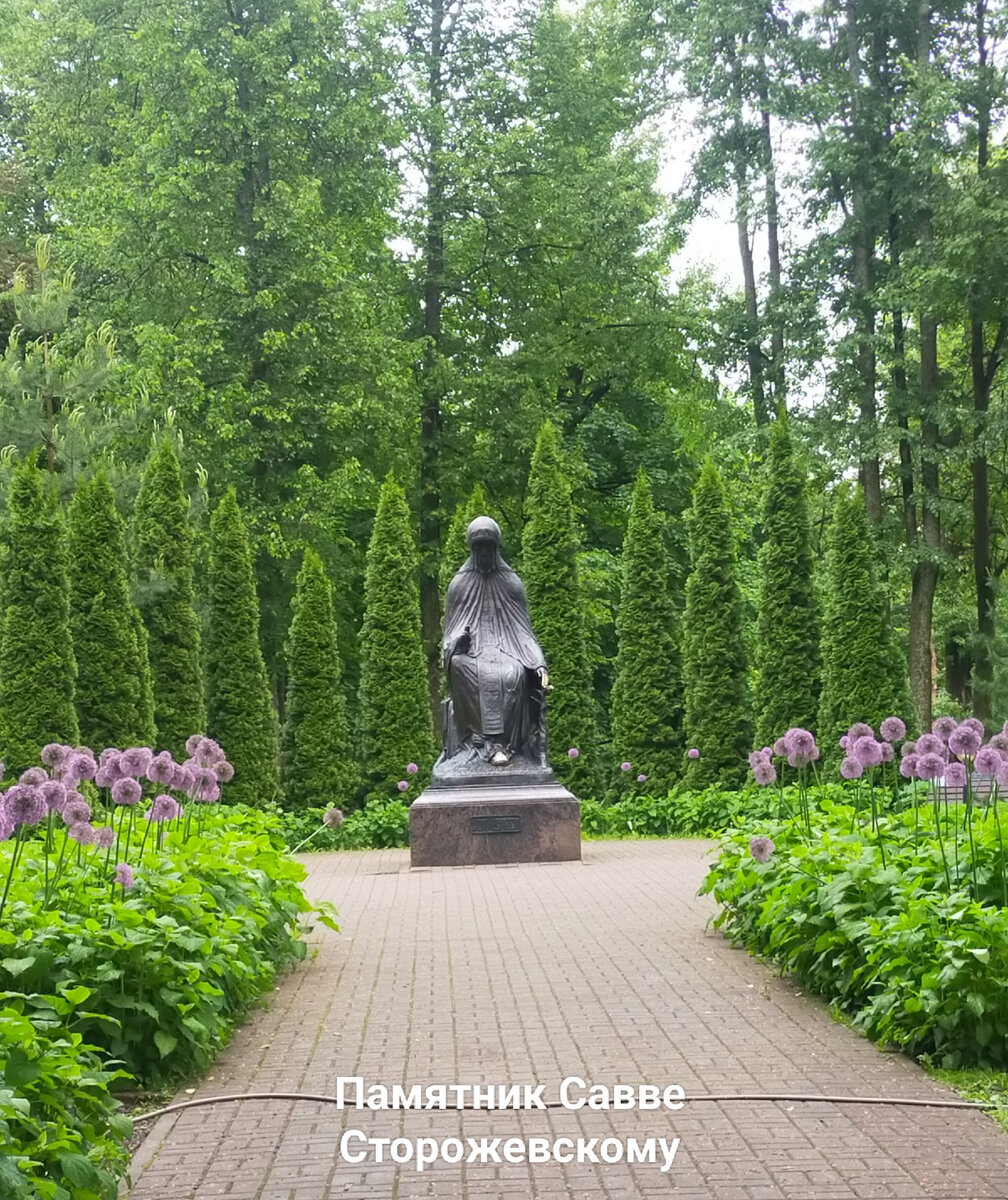 Памятник Савве Сторожевскому. Фото автора.
