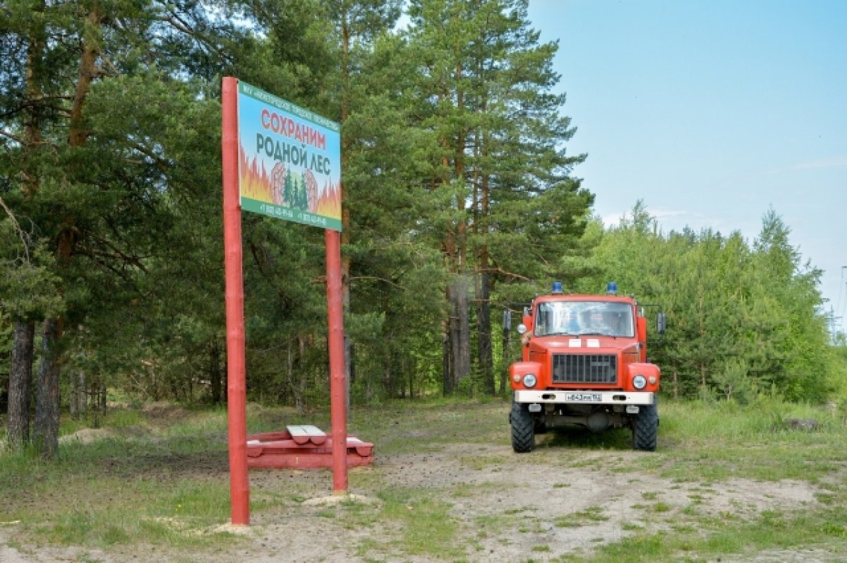    Патрулирование лесов в Нижнем Новгороде усилят в выходные и праздники