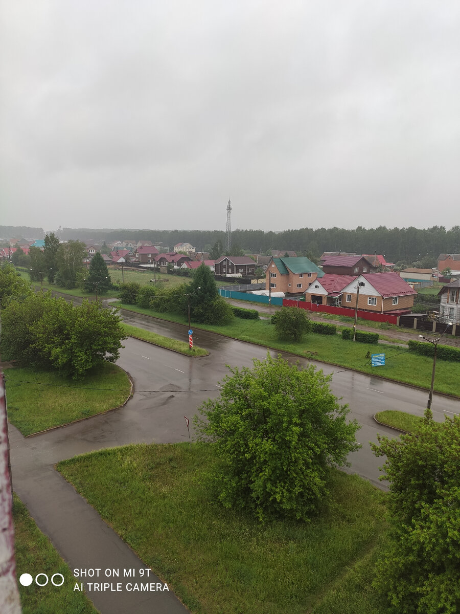 Дождик в городе. А какая у нас тут красота!