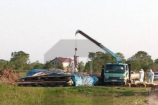    В Приморье пожаловались на «скотомогильник» рядом с жилыми домами