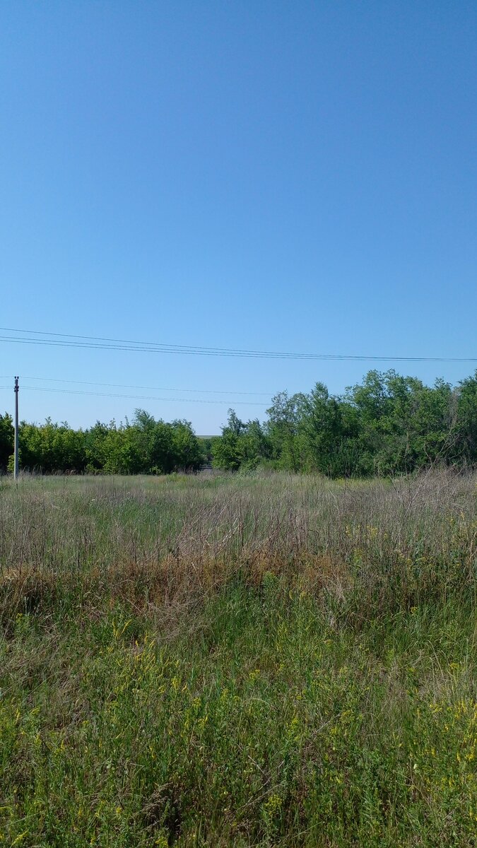 Фото автора: дорога на железную дорогу.
