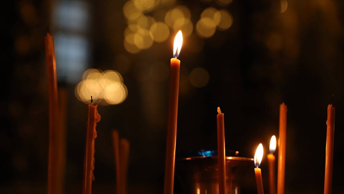    Фото: Анатолий Цымбалюк / Вечерняя Москва