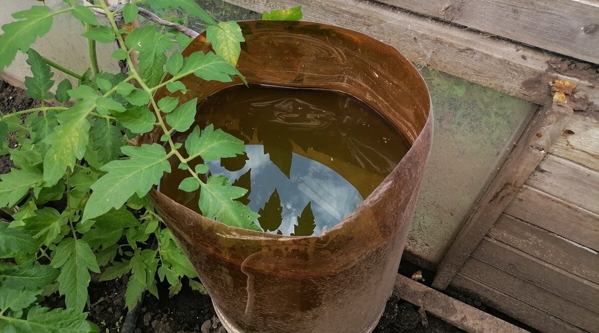 Пивная кега с водой