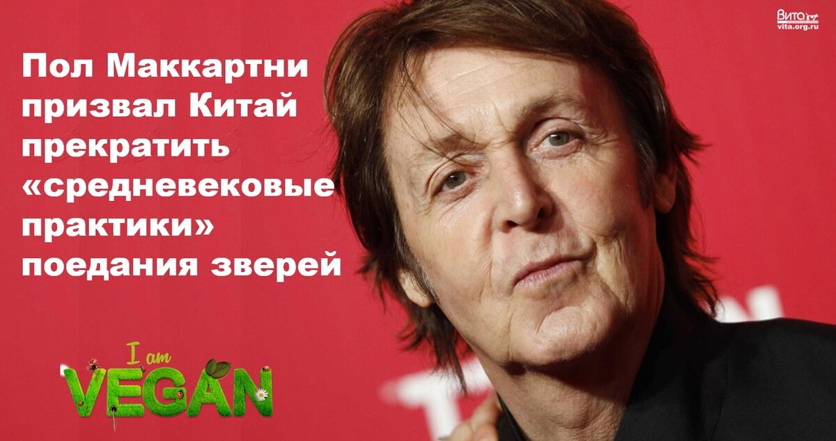 Фото: Центр защиты прав животных «ВИТА», https://vk.com/wall-3349701_63042