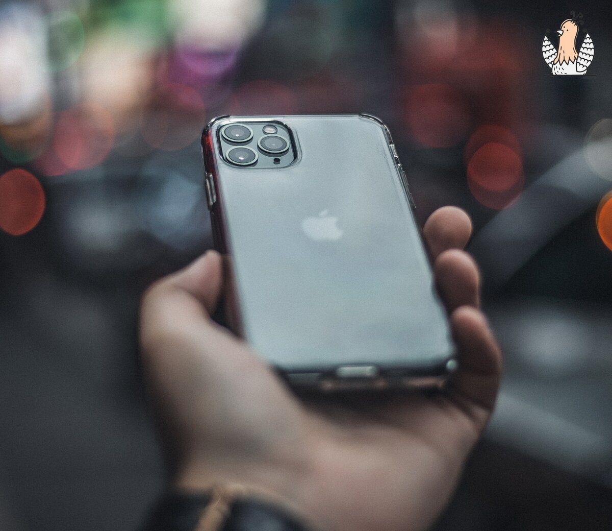 5 приложений для очистки iPhone | Птица в порядке | Дзен