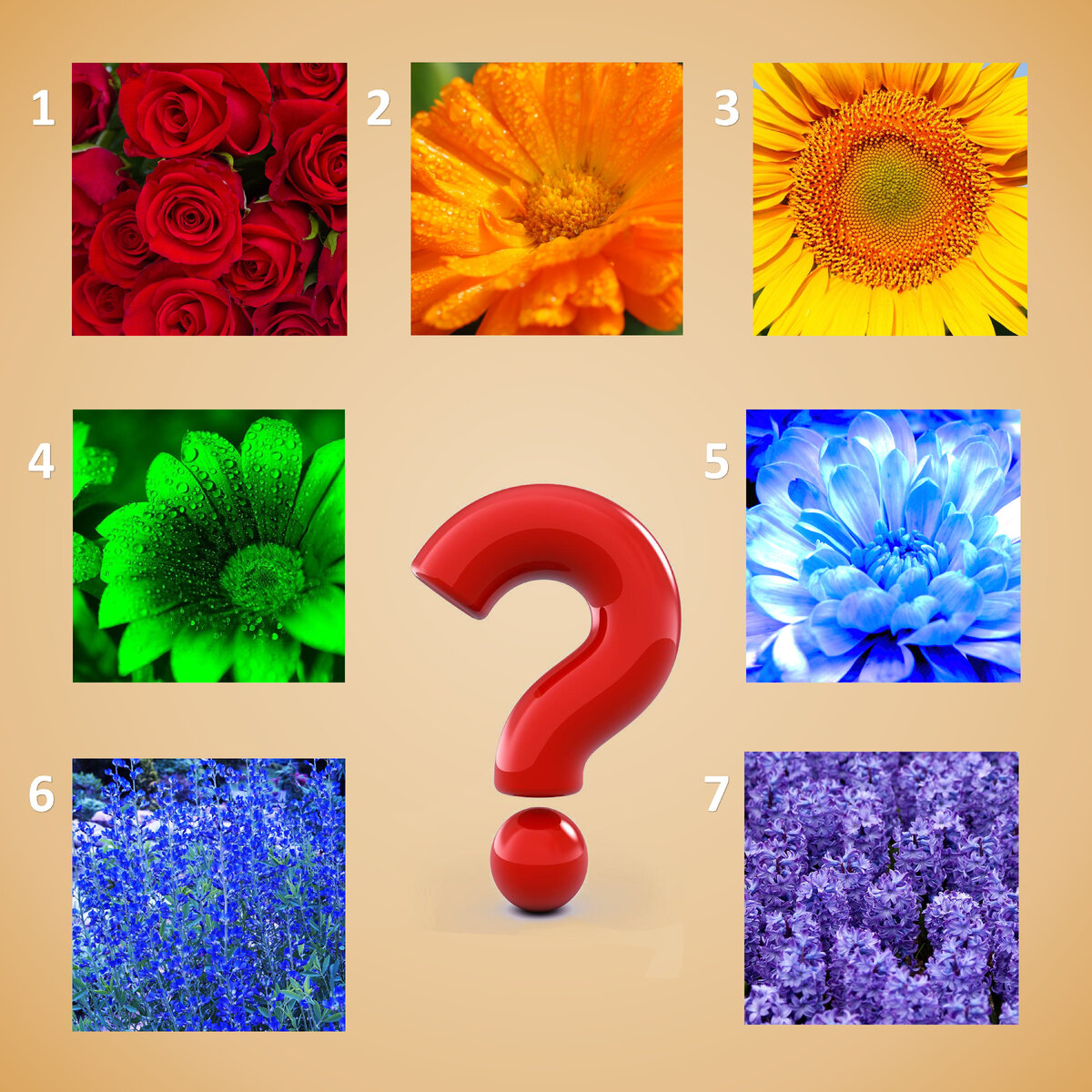 Сергей Власов (Севл). Быстрый тест: как цвет определяет судьбу