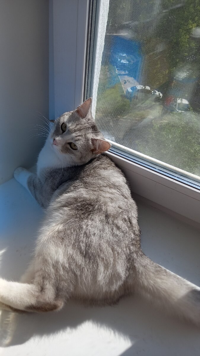 Фото автора.