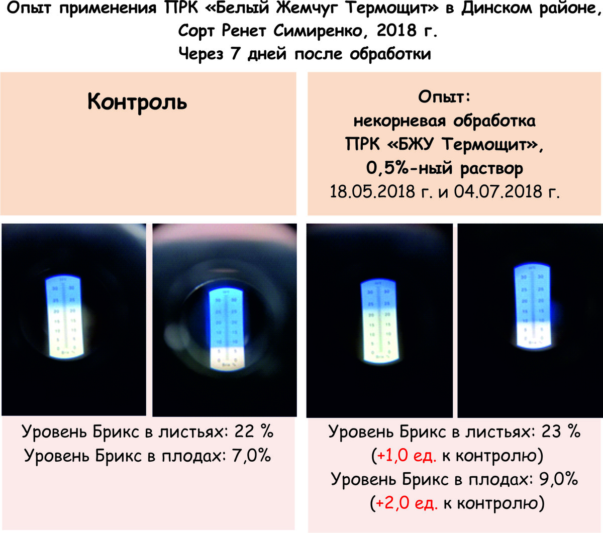 Практика применения ПРК «Белый Жемчуг Термощит» Многолетние плодовые |  Группа Компаний АгроПлюс | Дзен