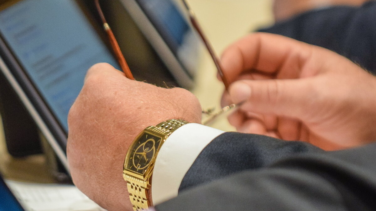     Внесли на рассмотрение Думы законопроект сенатор Андрей Клишас и депутаты-единороссы Павел Крашенинников и Ирина Панькина.