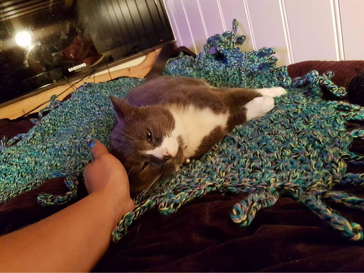 Обновка для Котеньки