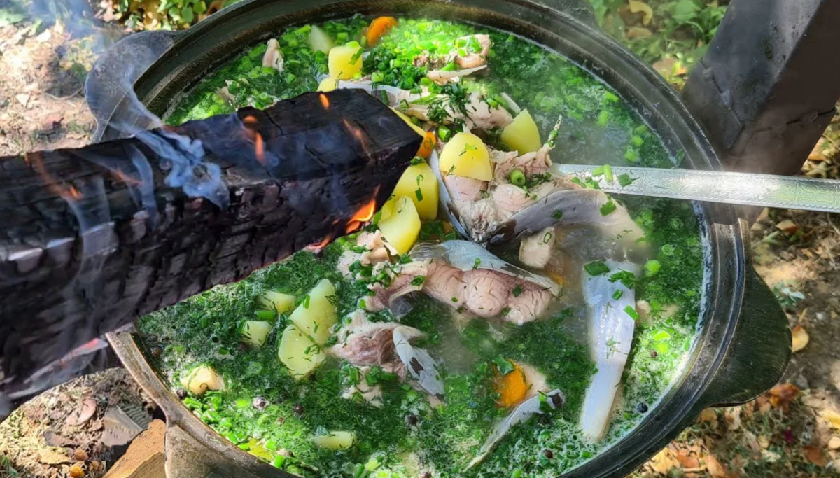 "Вкуснее не бывает" - Какая рыба лучше всего подходит для ухи | Рыбалка ...