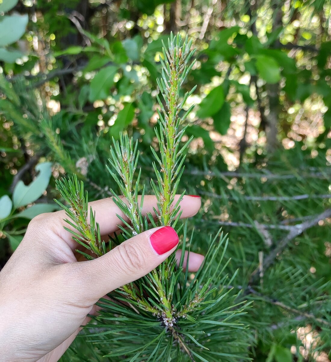 Фото из личного архива