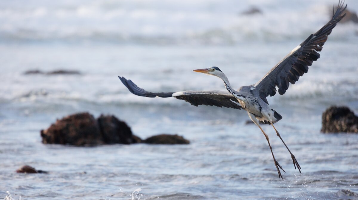 Картинка с бесплатного фотостока https://unsplash.com, автор Charl Durand