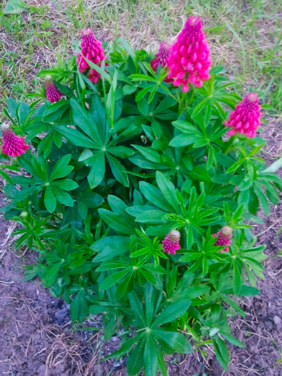 Фото автора канала.