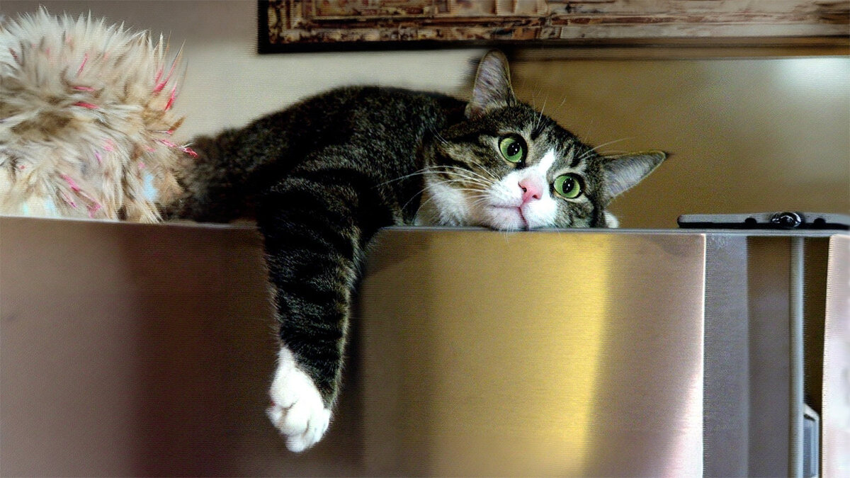 источник фото: amworld.ru