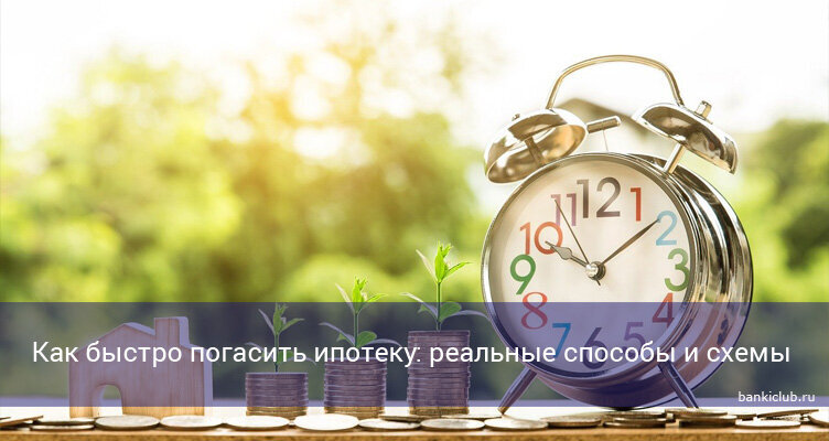 Фото: pixabay.com