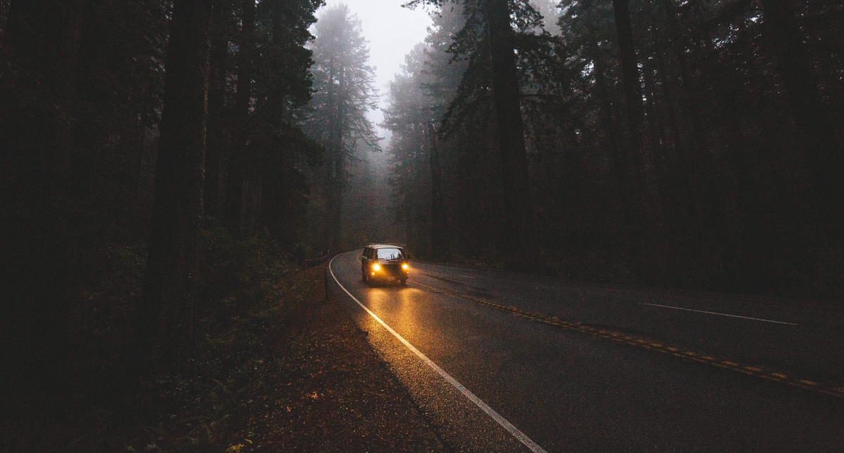 https://get.wallhere.com/photo/sunlight-landscape-forest-night-car-snow-winter-road-photography-morning-mist-pine-trees-infrastructure-light-fog-weather-darkness-atmospheric-phenomenon-10860.jpg