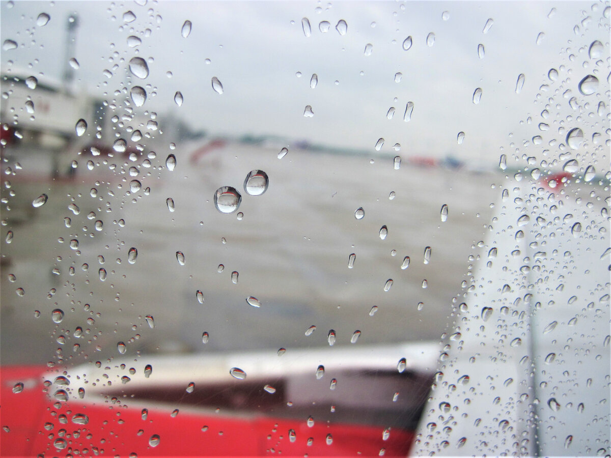 Фото автора.